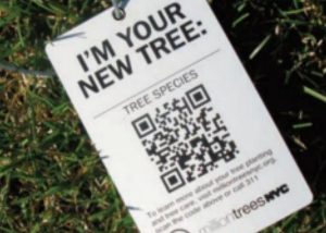 Tree Tracking